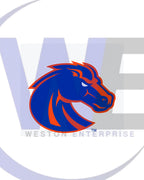 Custom Logo Design